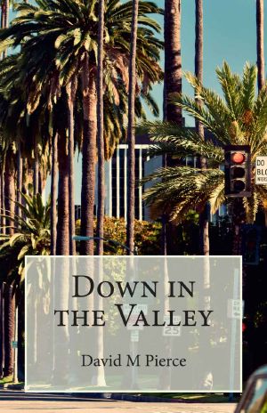 [Vic Daniel Mystery 01] • Down in the Valley